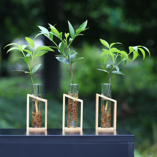 植物冠層分析儀應(yīng)用的意義