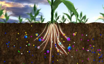 植物根系分析儀增強植物生理研究的嚴(yán)謹(jǐn)性